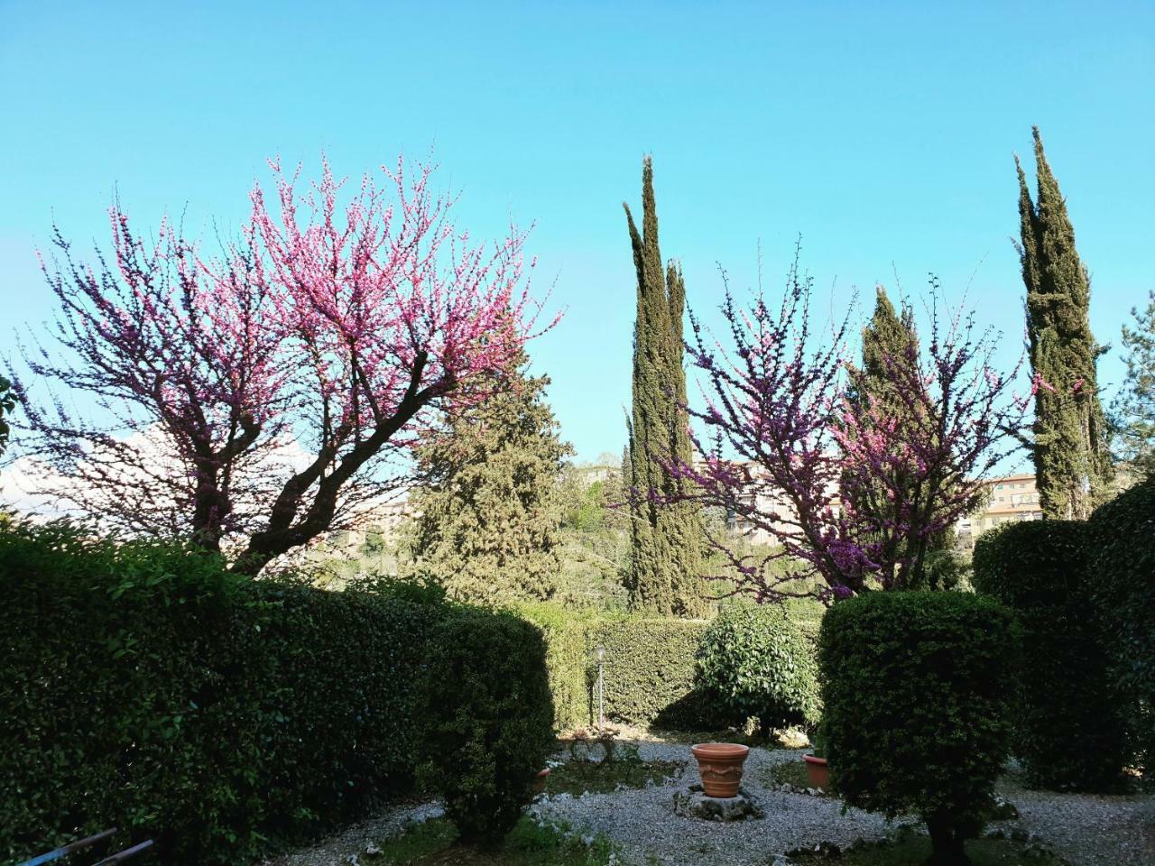 Villa Zara Siena Exterior photo
